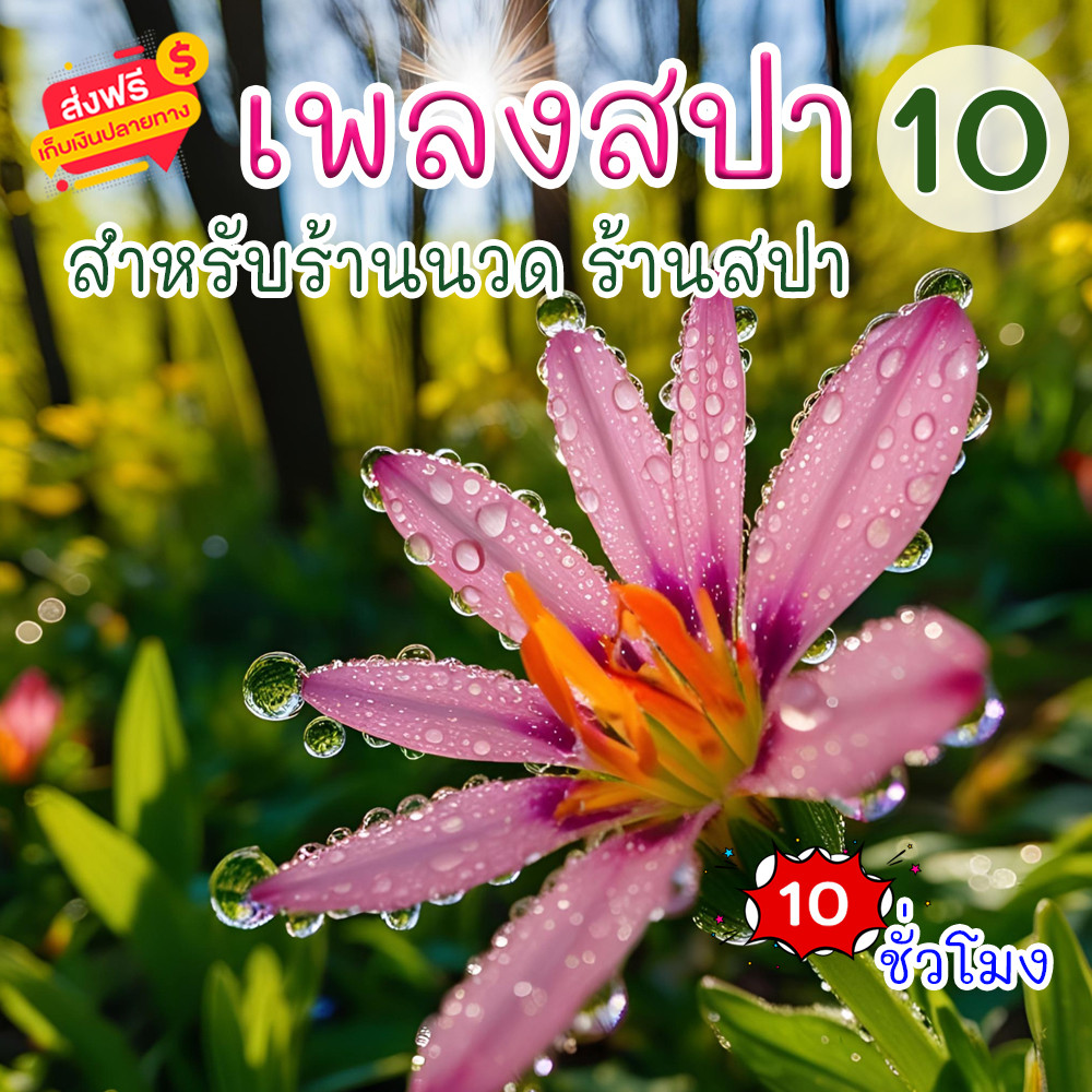 เสียงเพลงสปา ชุดที่ 10 ผ่อนคลาย ธรรมชาติบำบัด จิตใจผ่อนคลาย เสียงเพลงคลายเครียด