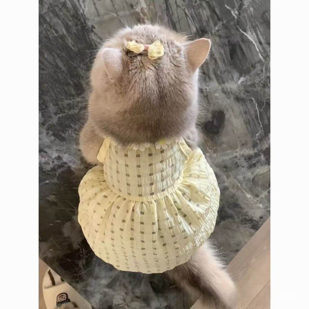 รูปภาพ 3