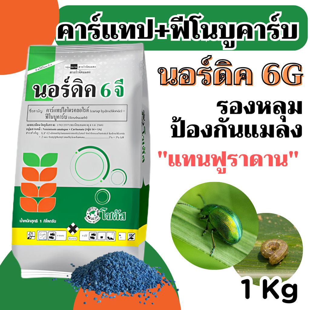 นอร์ดิค 6 จี  1 kg สารกำจัดแมลงชนิดเม็ดหว่าน ออกฤทธิ์แบบดูดซึม กำจัดแมลงทั้งแบบสัมผัสตาย และกินตาย