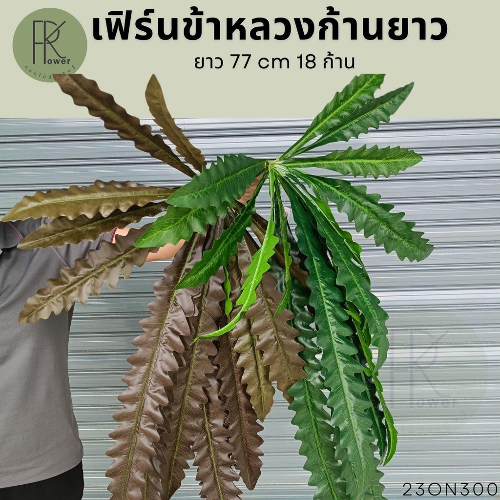 เฟิร์นข้าหลวงก้านยาว18ก้าน เฟิร์นระย้า เฟิร์นย้อย ดอกไม้ประดิษฐ์
