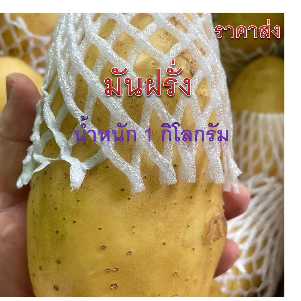 มันฝรั่งสด  มันฝรั่งนอกO/A หัวใหญ่ น้ำหนัก 1 กิโลกรัม