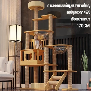 คอนโดแมว คอนโดแมวไม้ บ้านแมว เสาลับเล็บ ขนาดใหญ่ ของเล่นแมว ขนาดใหญ่ คอนโดแมวขนาดใหญ่ สูง 170CM ขนาดใหญ่ งานไม้พรีเมียม