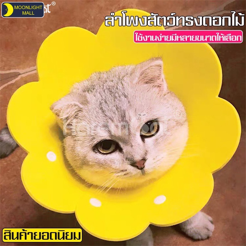 คอลล่าแมว คอลล่าสัตว์เลี้ยง ปลอกคอแมว คอลล่าโฟม ปลอกคอกันเลีย ลำโพงแมว แผ่นกันแมวเลีย