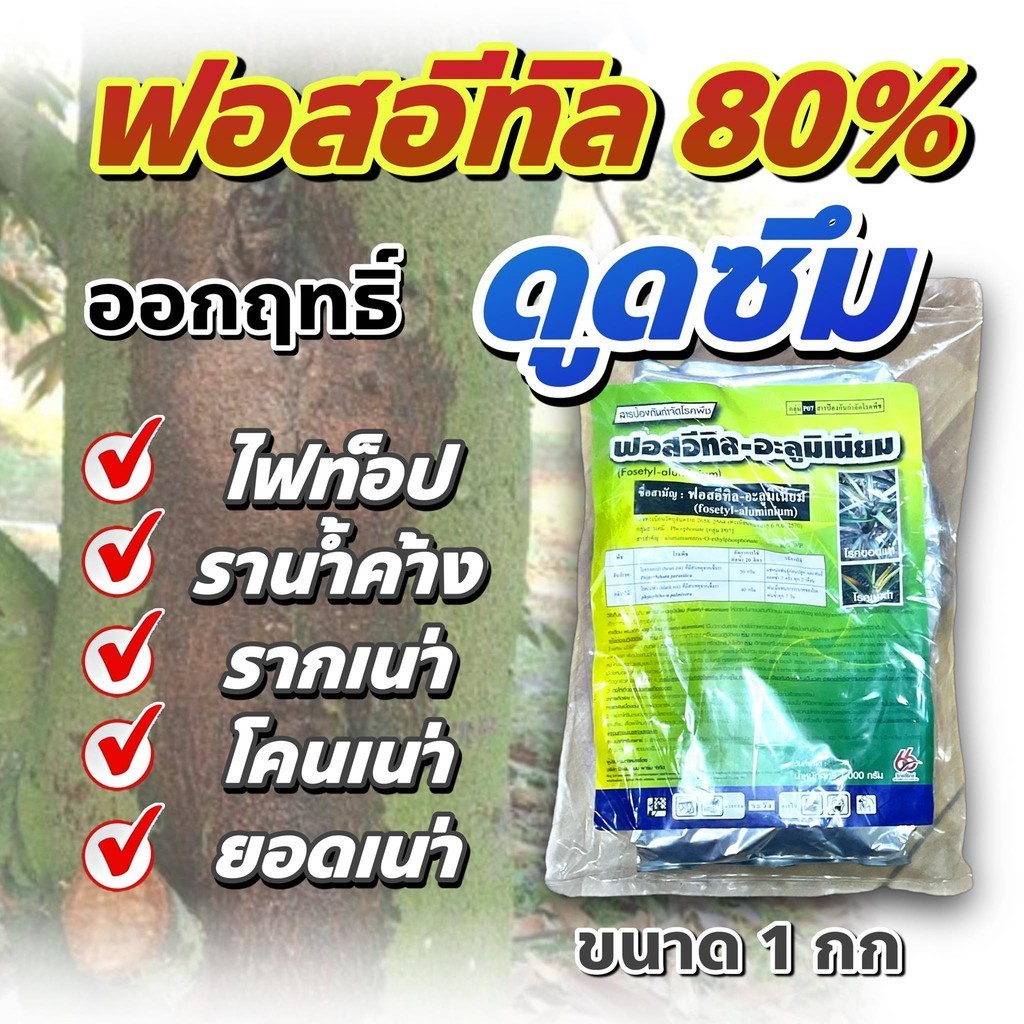 ยกลัง 10  กก ฟอสอีทิล อะลูมิเนียม 80%  ยาเชื้อรา รากเน่า โคนเน่า ราดำเน่า โรคเหี่ยว โรค ไฟท็อป ในทุเรียน #อาลีเอท