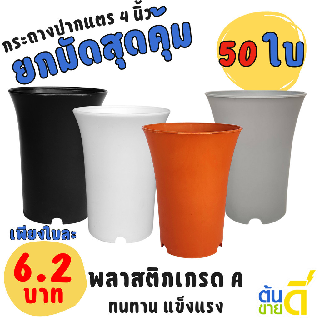 กระถาง กระถางแคคตัส กระถางปากแตร 4 นิ้ว สีขาว สีดำ สีเทา สีอิฐ Bundle 50 ใบ ชิ้น อัน