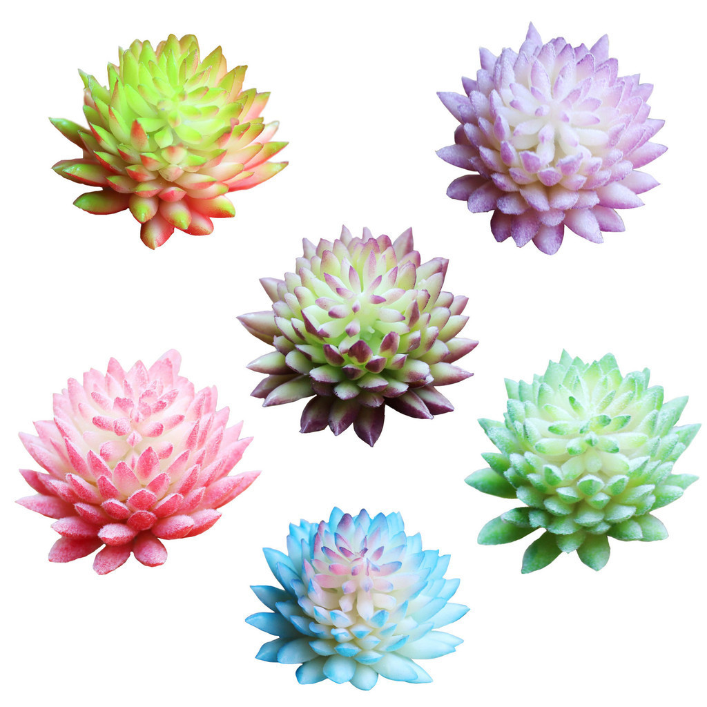 หัวดอกไม้ของตกแต่งชิวาวามินิไม้อวบน้ำกระถางขนาดเล็ก Chiwalian Yang Guifei succulents Simulation