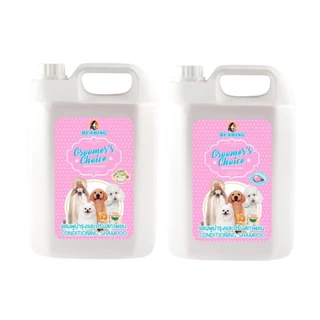 [3800ml.] BEARING Groomer’s Choice Conditioning Shampoo กรูมเมอร์ช้อยส์แชมพูผสมครีมนวด สำหรับสุนัข 3 เดือนขึ้นไป
