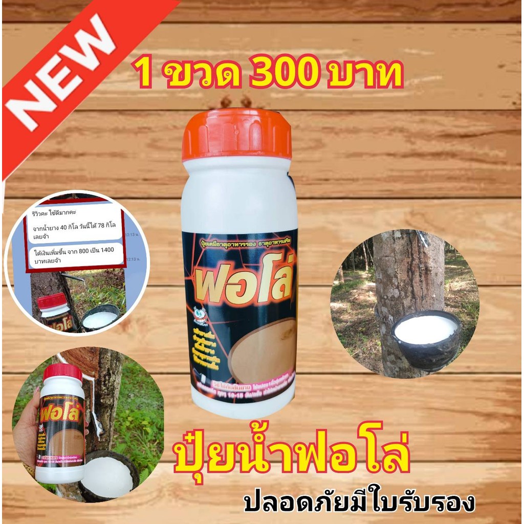 ปุ๋ยน้ำฟอโล่ บำรุงหน้ายางพารา เพิ่มน้ำยางพารา