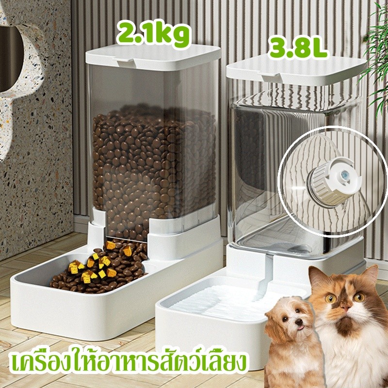เครื่องให้อาหารสัตว์เลี้ยง ชามอาหาร หมา แมว ที่ให้อาหารอัตโนมัติ เครื่องให้น้ำและอาหารสัตว์เลี้ยงอัตโนมัติ