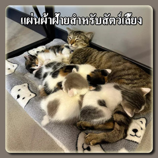 YTL 😍เบาะนอนรุ่น3 ฟูนุ่มกว่าเดิม😍 เบาะที่นอนสำหรับสุนัขและแม…