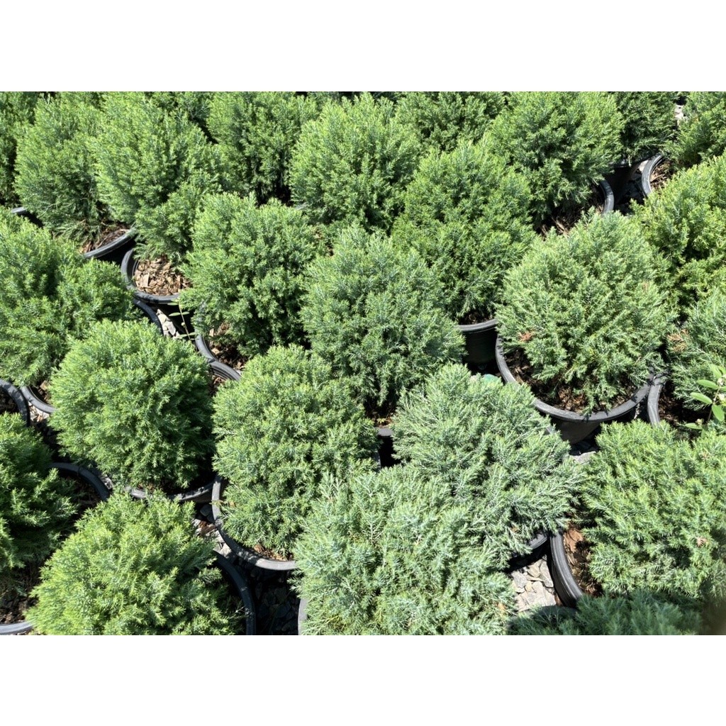 มุมมอง 5