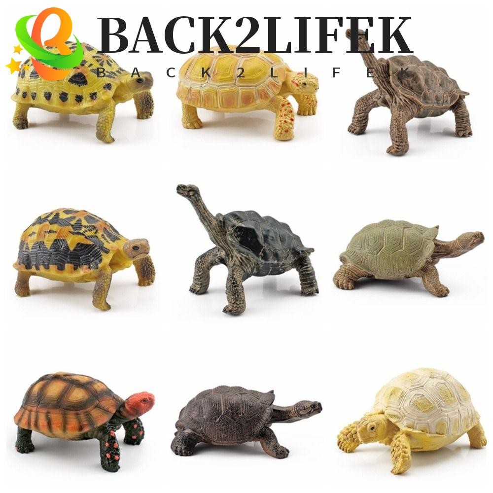 BACK2LIFEK Sea Turtle Model, Leatherback Tortoise เต่าสมจริงแอ็คชั่น, ตกแต่งสวนจําลองมือวาดวัสดุ PVC เต่าสัตว์ Figurines ของเล่นเด็ก