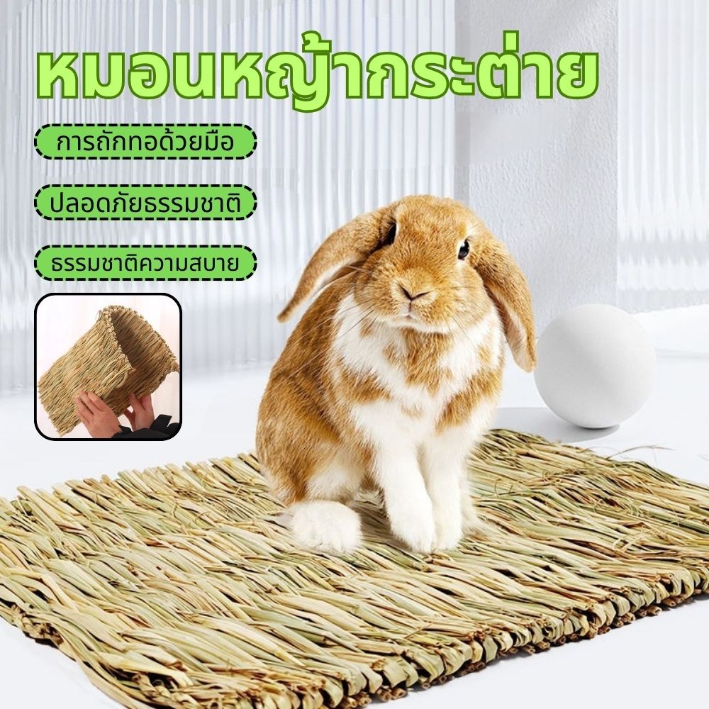🐰 🐹เสื่อหญ้าธรรมชาติกระต่ายหญ้าเสื่อไก่เล้าหนูแฮมสเตอร์อุ่นหญ้าอ่อนสำหรับสัตว์เลี้ยง