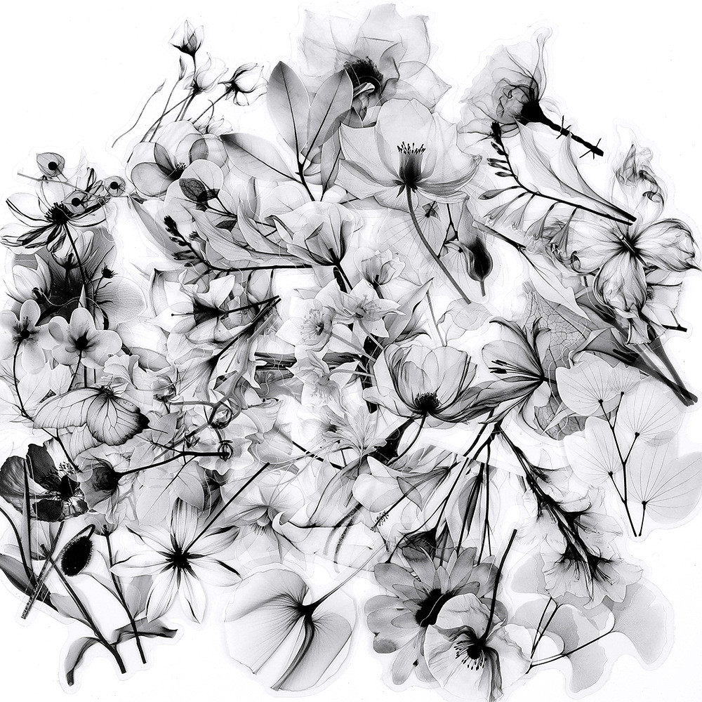 ❉ Retro Black & White Flowers Art Series 02 สติ๊กเกอร์ PET ❉ 50 ชิ้น/เซ็ตกันน้ําแฟชั่น DIY Doodle Decals สติ๊กเกอร์