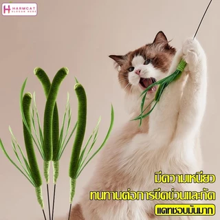 Harmcat ของเล่นแมว Cat Toy ไม้ตกแมว พร้อมขนนก ไม้ล่อแมวสปริง ของเล่นสัตว์เลี้ยง ไม้แมวหางยาว ทนทาน ไม่หัก