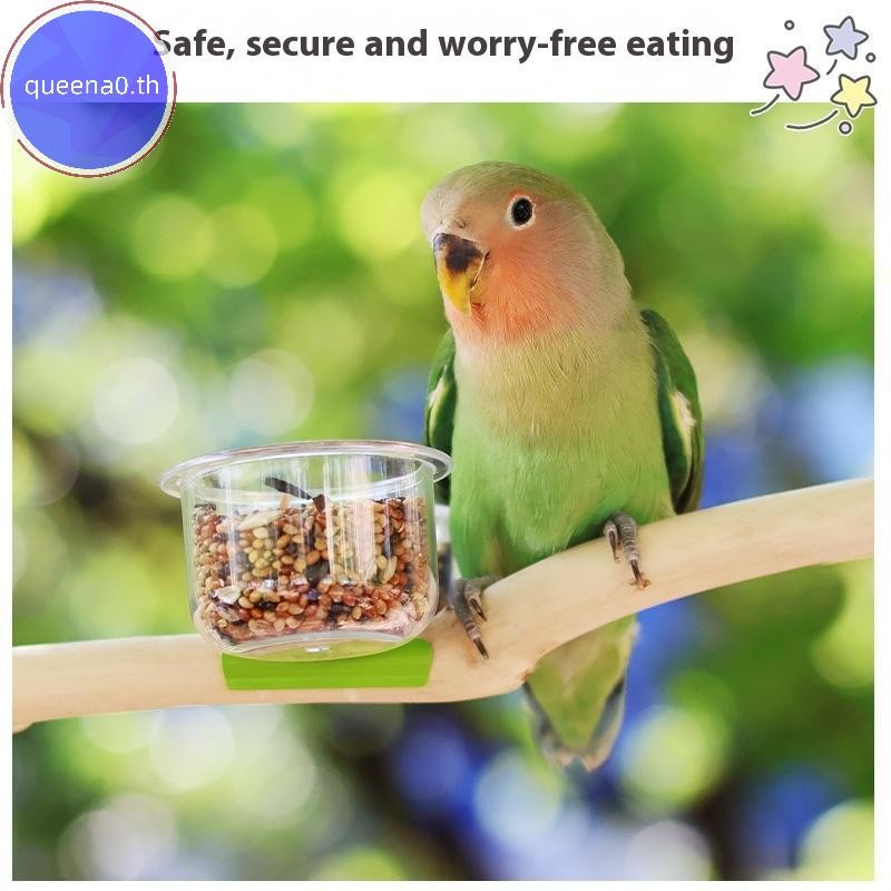 Queena0 นกแก้วชามอาหาร Feeder ถ้วยคลิปสัตว์เลี้ยงขนาดเล็ก Bird Feeder ชามน้ํา Bird Cage Feeder สัตว์เลี้ยง Feeding อ่างล้างหน้าอุปกรณ์เสริม th