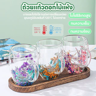 300ml แก้วดอกไม้แห้ง แก้วสองชั้น แก้วคู่รัก แก้วดอกไม้แห้ง แก้วกาแฟ แก้วนม แก้วชา แก้วแฟชั่น