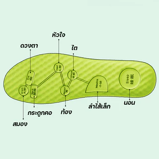 พื้นรองเท้า ดูดซับเหงื่อ ลดกลิ่นอับ ใช้ได้ทุกการเดินและวิ่ง แผ่นรองเท้า แผ่นรองพื้นรองเท้า เมมโมรี่โฟ กันกัด