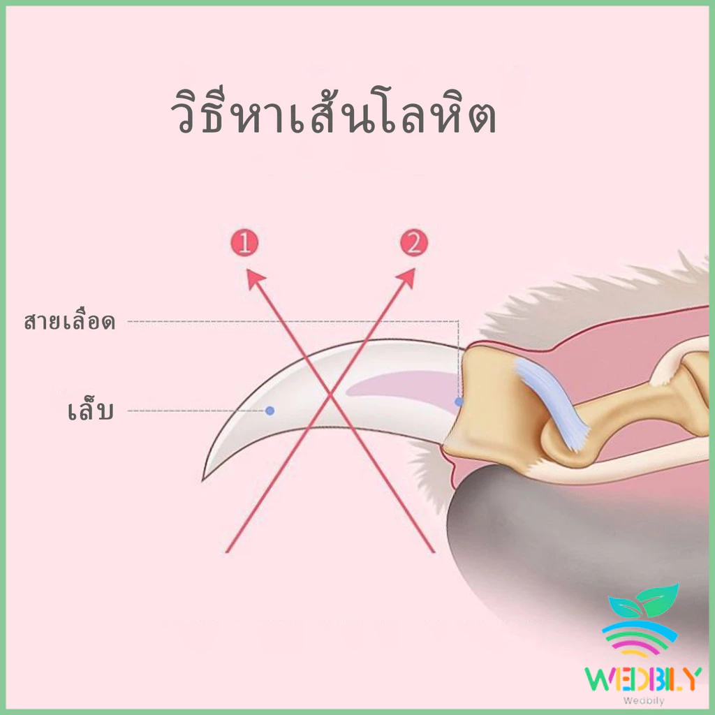 【มีสินค้าในสต๊อก】 สีดำ-แดง อุปกรณ์ตัดเล็บสัตว์เลี้ยง กรรไกรตัดเล็บสุนัข แมว แถมตะไบ สแตนเลสด้ามแดง  Pet nail clippers thumbnail 7