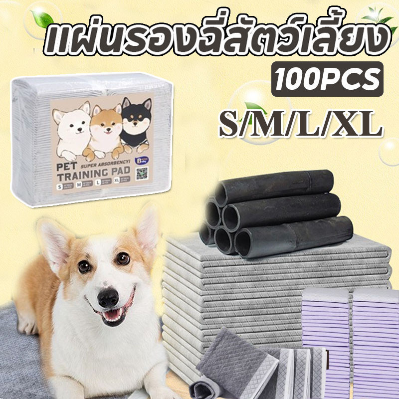 😻พร้อมส่ง🐶แผ่นรองฉี่สัตว์เลี้ยง 100pcs ซึมซับได้ดี ต่อต้านแบคทีเรีย ถ่านหินคาร์บอน ผ้ารองฉี่ ระงับกลิ่น