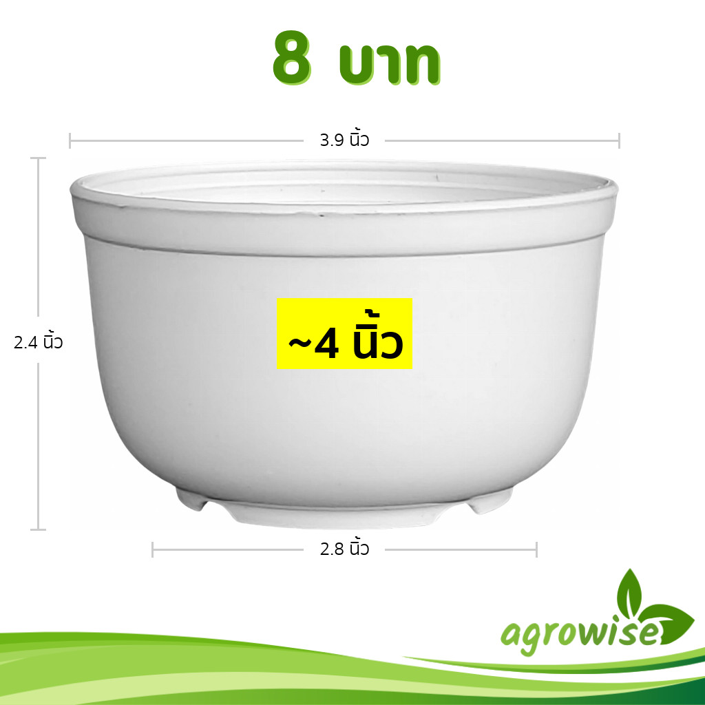 กระถาง กระถางทรงถ้วย ขนาด 4 นิ้ว สีขาว สีดำ สีอิฐ Bundle 25 ใบ