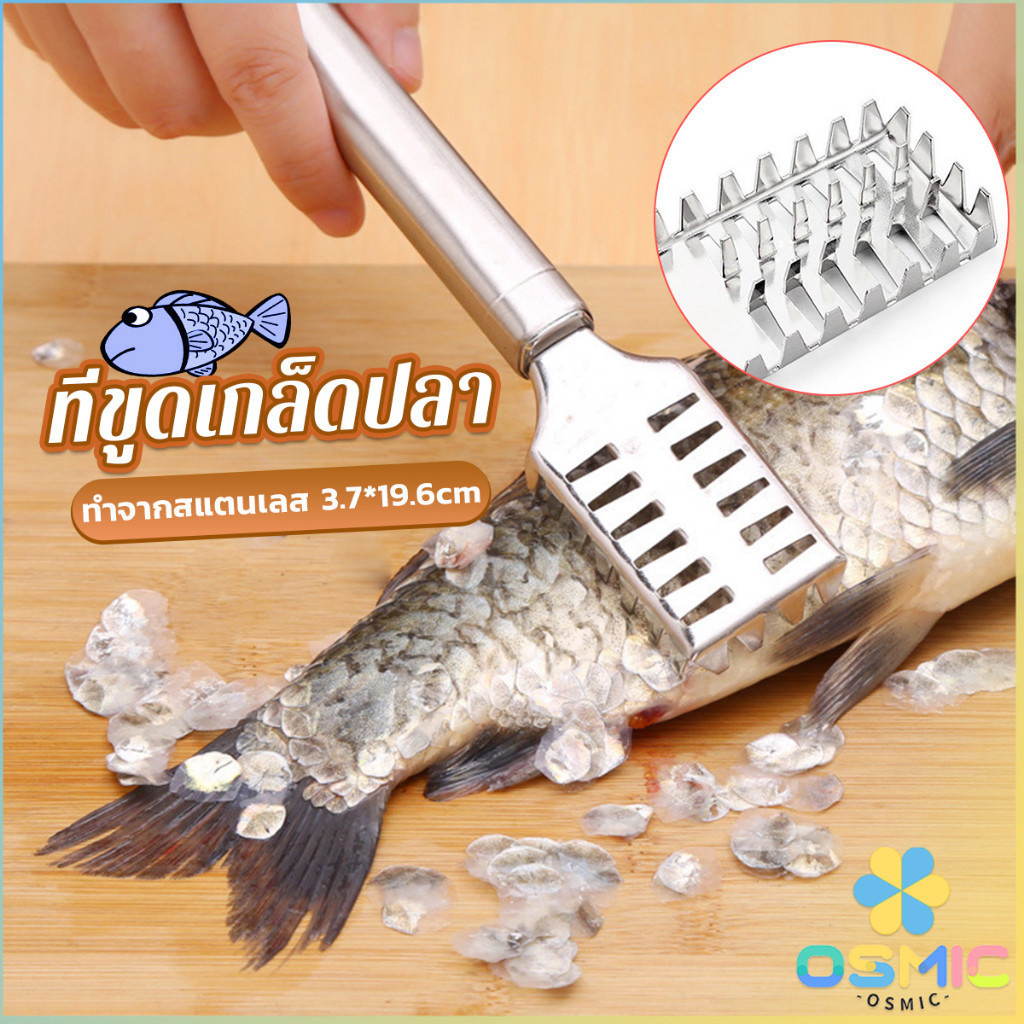 MIC ที่ขูดเกล็ดปลา ที่ขอดเกล็ด สแตนเลส เครื่องใช้ในครัว Fish scale scraper