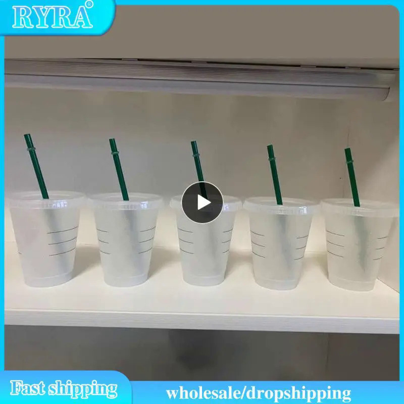 5pcs Wholesale Straw Cups Plastic Tumbler With Lid Straw Reusable Cups Summer Drinks Bottle Drinkwar