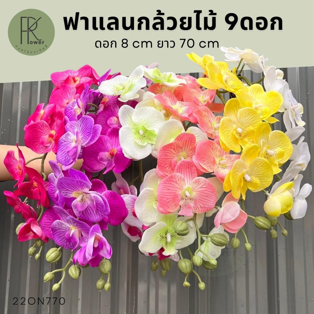 กล้วยไม้ ฟาแลนด์ กล้วยไม้ประดิษฐ์ กล้วยไม้ผ้า9ดอก