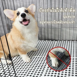 แผ่นรองกรง รองกรง กันลื่น แผ่นรองพื้น ที่รองกรง แผ่นรองพื้นกรง 30*30cm สามารถตัดได้ตามต้องการ