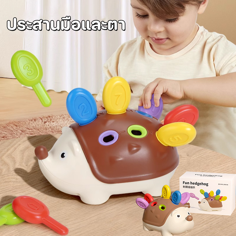 COD ของเล่นเพื่อการศึกษา เม่นน้อย Montessori ประสานมือและตา การฝึกความสนใจ ของเล่นสําหรับเด็กอายุ 1-3 ปี