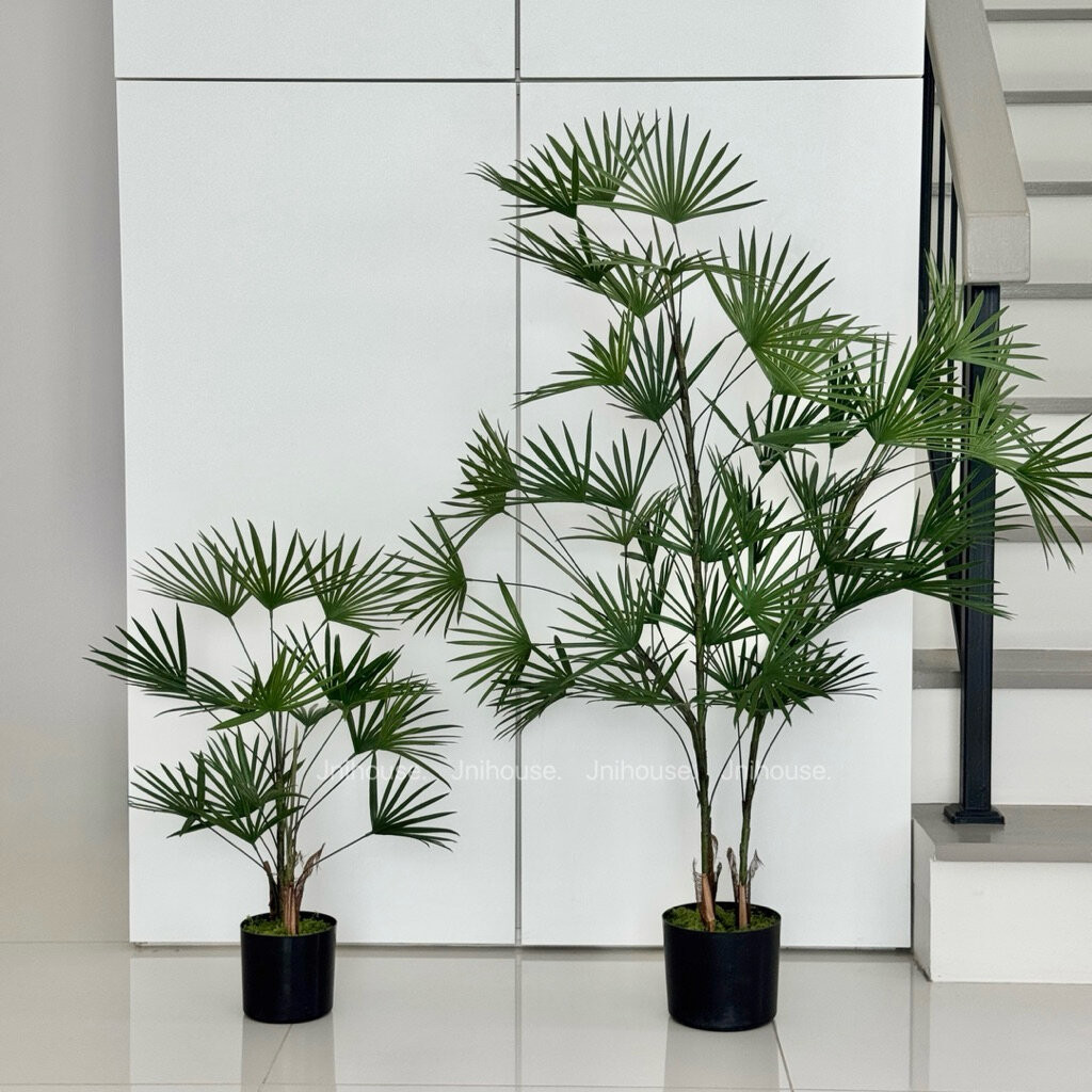 [พร้อมส่ง] Jnihouse : ต้นจั๋งประดิษฐ์ (Lady palm tree)