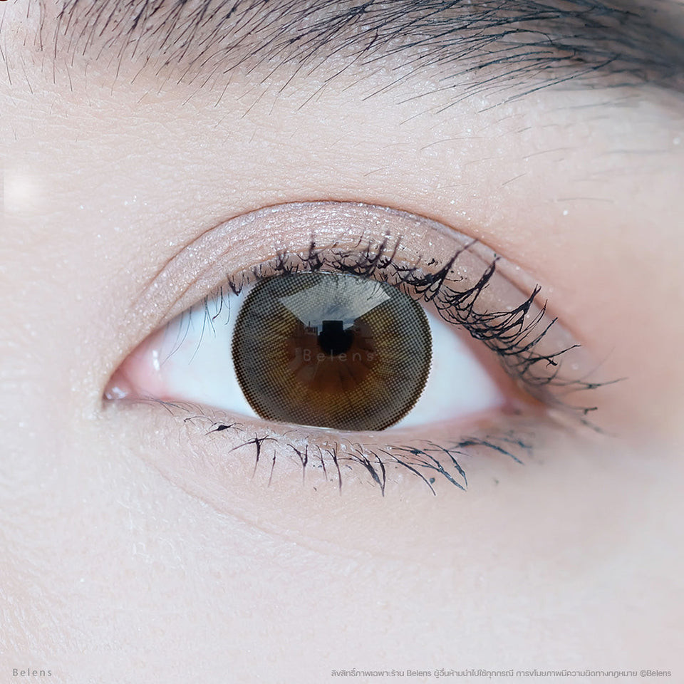 💥แถมตลับ food grade - รุ่น Clover (Gray) คอนแทคเลนส์ //มีส่งด่วน🚚
