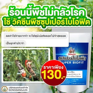วัคซีนพืช ซุปเปอร์ไบโอฟิต ไคโตซาน ป้องกันโรคพืช โรครากเน่าคอดิน โรคใบจุด บำรุงพืช ฮอร์โมนเขียวพุ่ง