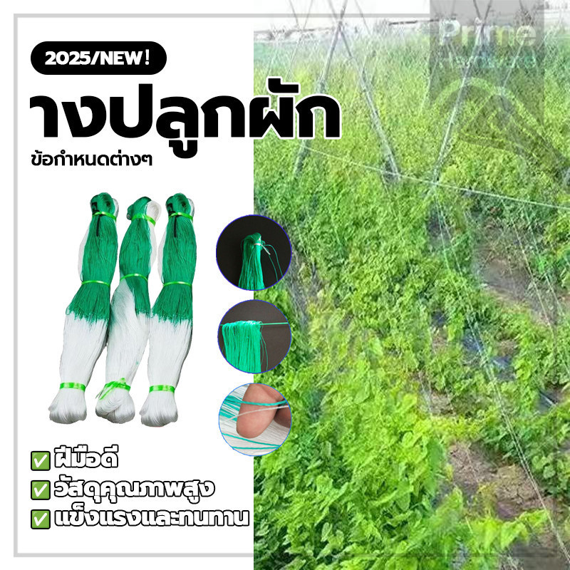 ต้นไม้เลื้อยตาข่ายไนล่อน ตาข่ายแตงกวา ตาข่ายปลูกถั่ว 2*100m ทดทานไม่ขาดง่าย Plant Support