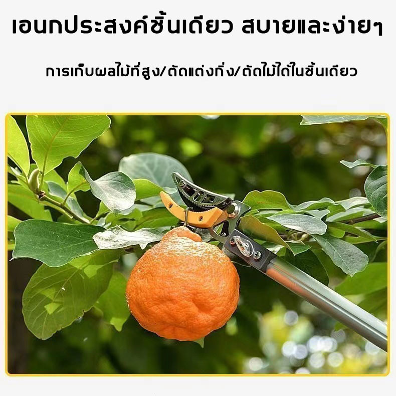 กรรไกรตัดกิ่ง ยืดไสลด์ 2.3M-4M ตัดกิ่งไม้เร็ว อุปกรณ์ตัดแต่งกิ่งมืออาชีพ กรรไกรตัดกิ่งด้ามยาว กรรไกรตัดกิ่งไม้ - รูปที่ 4