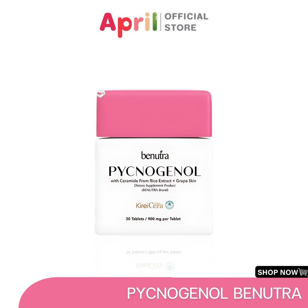 เม็ดเหลืองเลือนฝ้า PYCNOGENOL with Ceramide พิโนจินอล บีนูทร่า benutra ลดเลือนฝ้า กระ จุดด่างดำ
