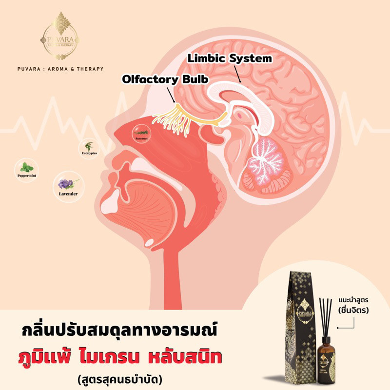 เทียนหอม Puvara  ภูวารา ก้านไม้หอม Aroma Reed Diffuser