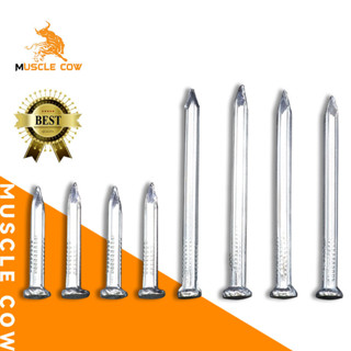 ตะปูคอนกรีต ตะปูตีผนังปูน ตะปูตอกปูน ตะปูตอกคอนกรีต ความยาว …