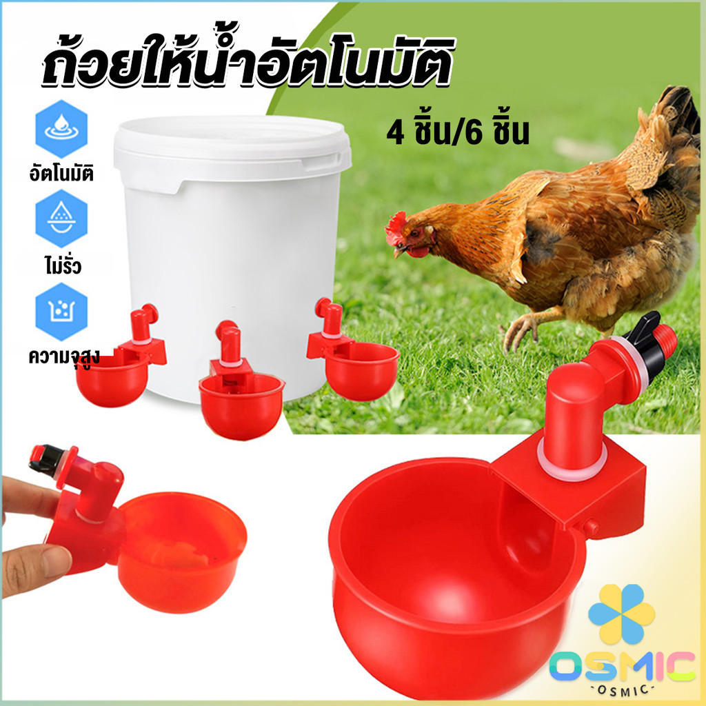MIC ถ้วยให้น้ำอัตโนมัติ สำหรับไก่ 4 ชิ้น 6 ชิ้น Automatic drinker
