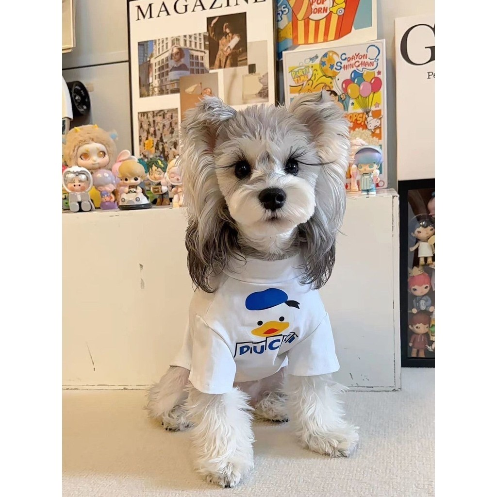 เสื้อผ้าสุนัขฤดูใบไม้ร่วงฤดูหนาว Anti-Lint Breathable สัตว์เลี้ยง Bichon Cat Shiba Inu Keep Warm ฤดูใบไม้ผลิขนาดกลาง Schnauzer
