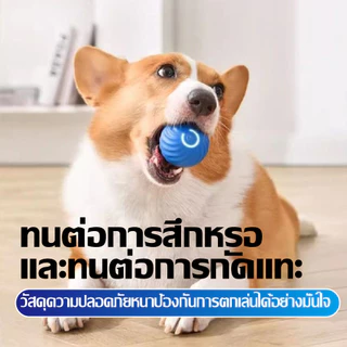 ลูกบอลไฟฟ้าอัตโนมัติ-พอร์ต-USB-สําหรับฝึกสุนัข-แมว