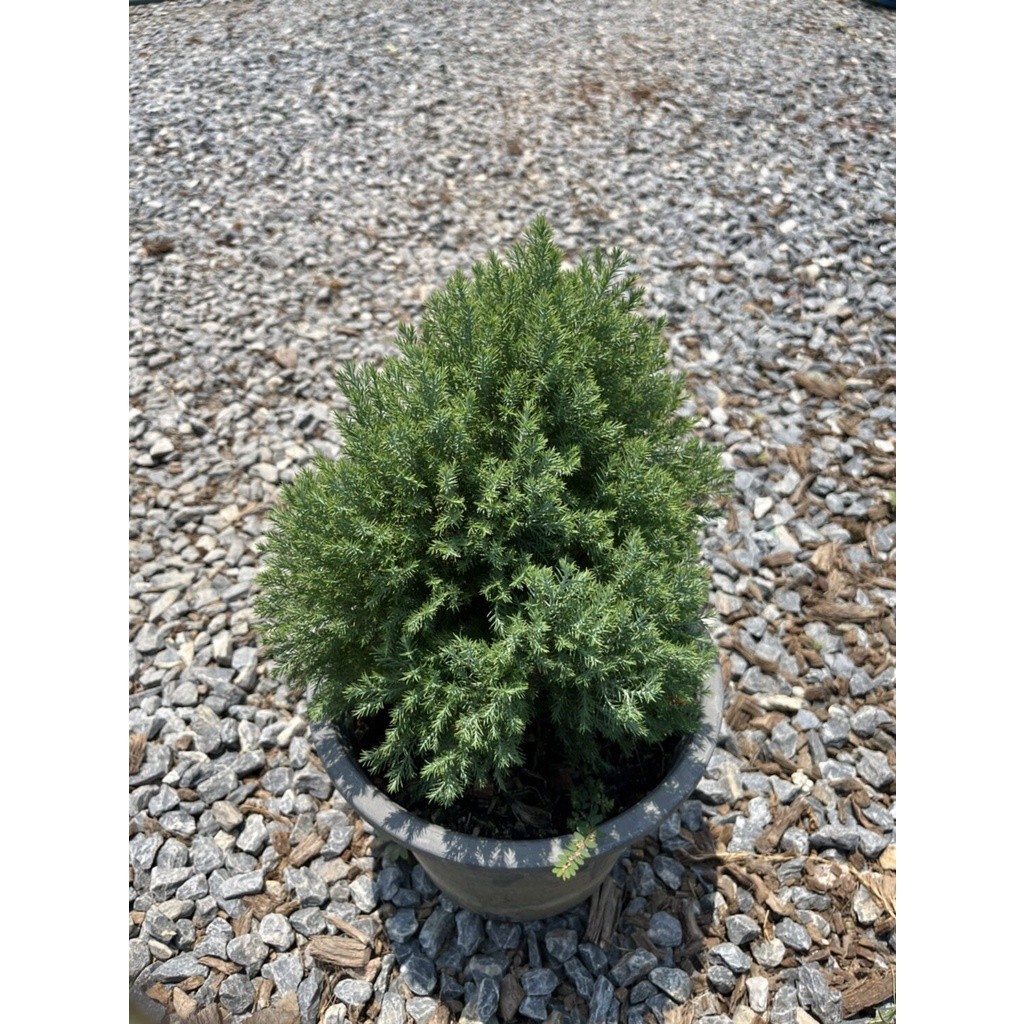 มุมมอง 4