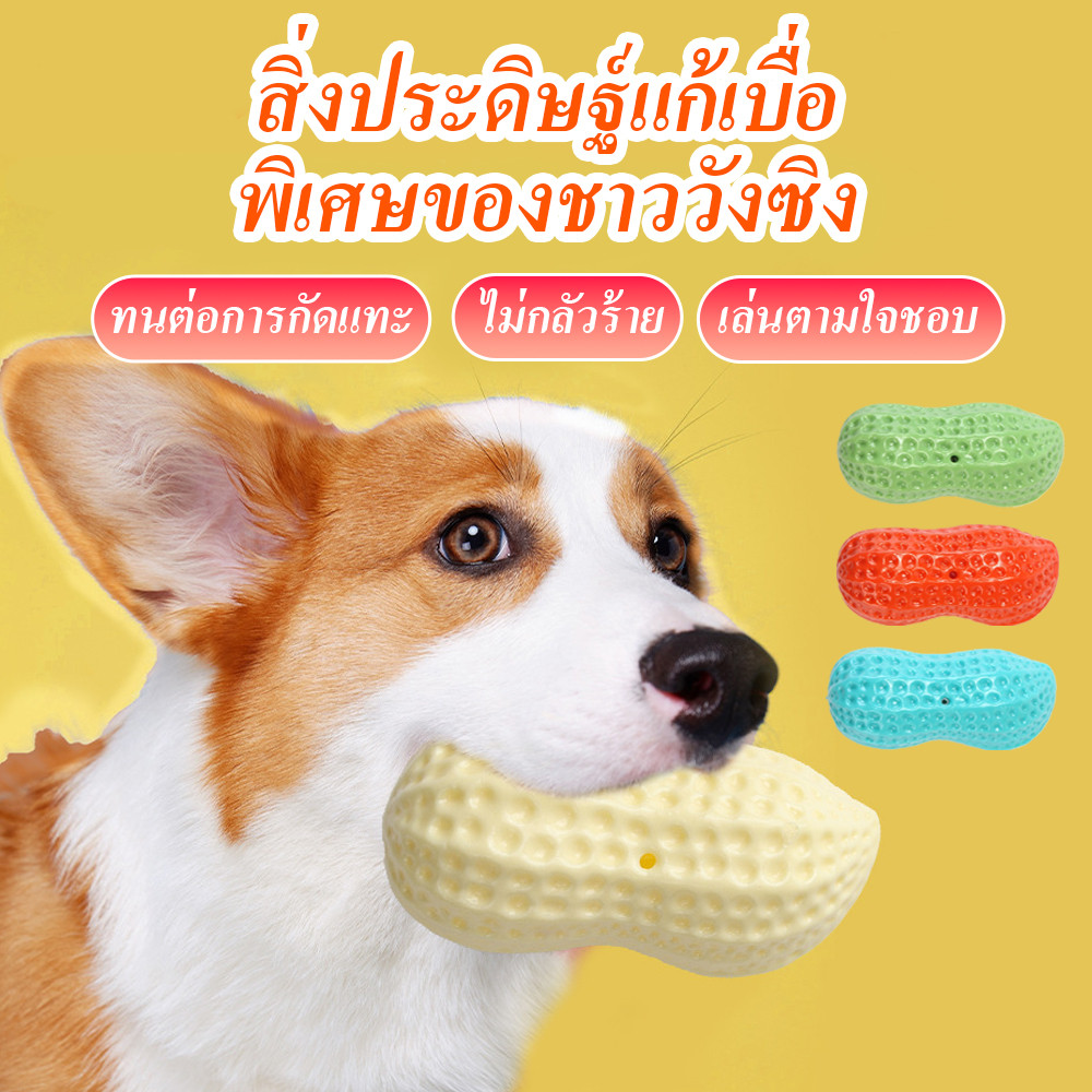 ของเล่นสุนัข ถั่วลิสง บีบมีเสียง หอมกลิ่นนม ลูกบอลหมา Milky Peanut Dog Toy