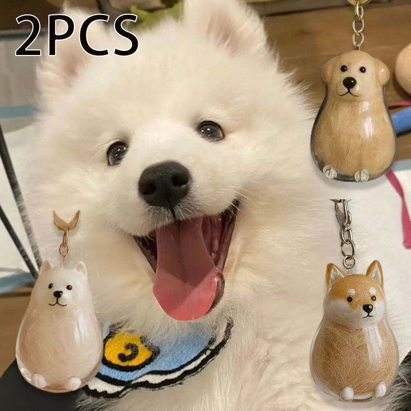 2ชิ้น โปร่งใสกล่องเก็บสุนัขผมคอลเลกชันจี้ผมจัดเก็บพวงกุญแจ