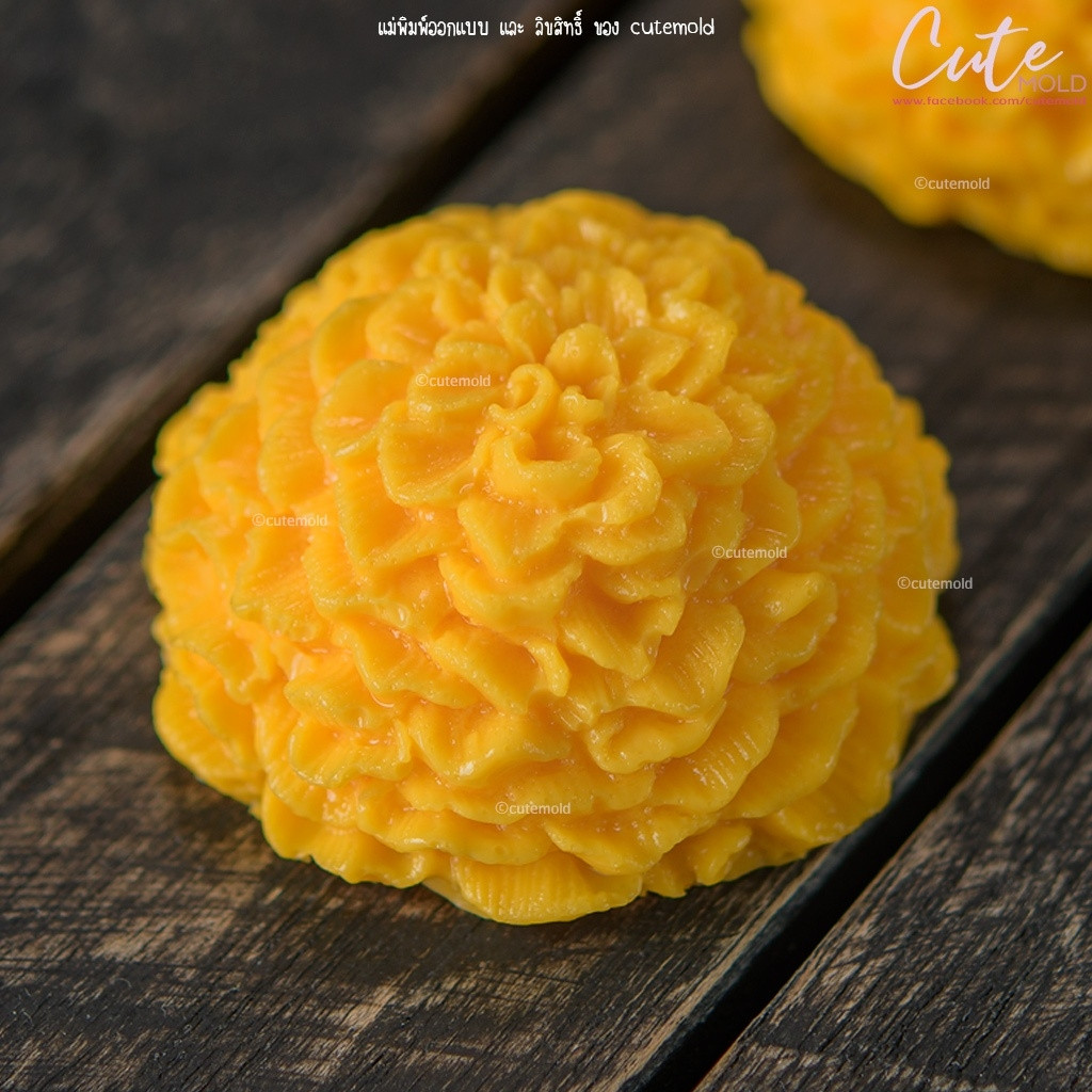 มีสินค้า/ แม่พิมพ์ อาลัว สัมปันนี วุ้น แม่พิมพ์ฟองดอง ดาวเรือง ชบา พุดตาน x27 x29 x31 x32 x35 x36 x25 x33 x34 (เลือกแบบ) - รูปที่ 5