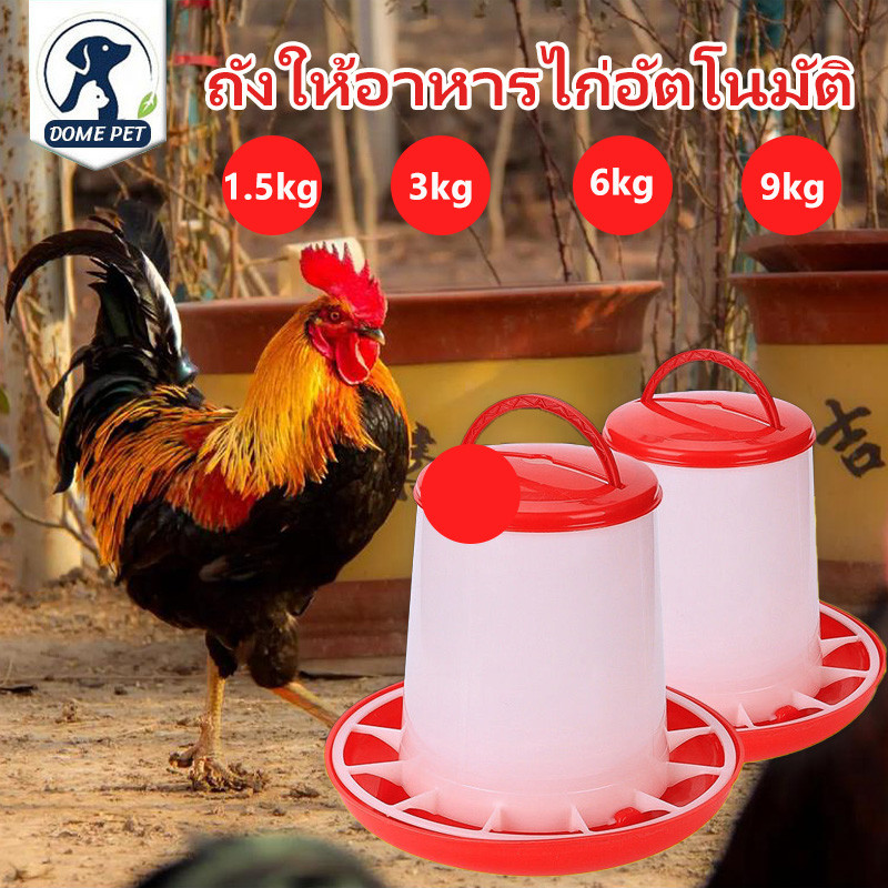 🐓ถังให้อาหารไก่ ถังให้อาหารไก่อัตโนมัติ เครื่องให้อาหารไก่อัตโนมัติ ประหยัดอาหาร รุ่นประหยัด ความจุขนาดใหญ่