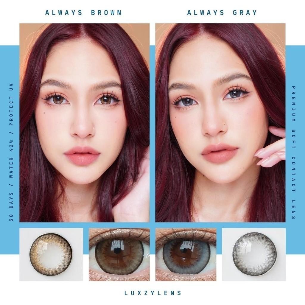 คอนแทคเลนส์[บิ๊กอาย] Always Brown / Gray (Luxzylens) มี อย.ไทย