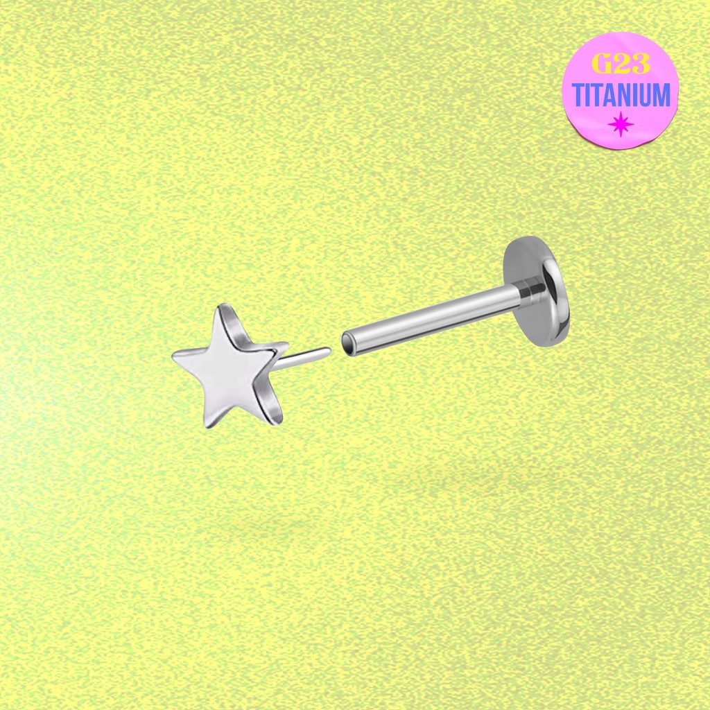 Star Flatback Titanium Earring (1ชิ้น)
