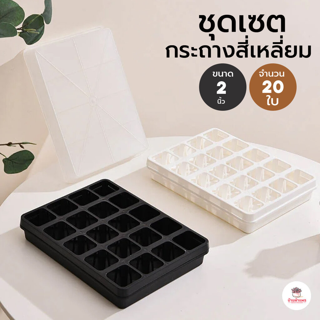 ชุดเซตกระถางสี่เหลี่ยม 2 นิ้ว 20 ใบ #DP00 กระถางพลาสติก กระบองเพชร ไม้อวบน้ำ Cactus&Succulent
