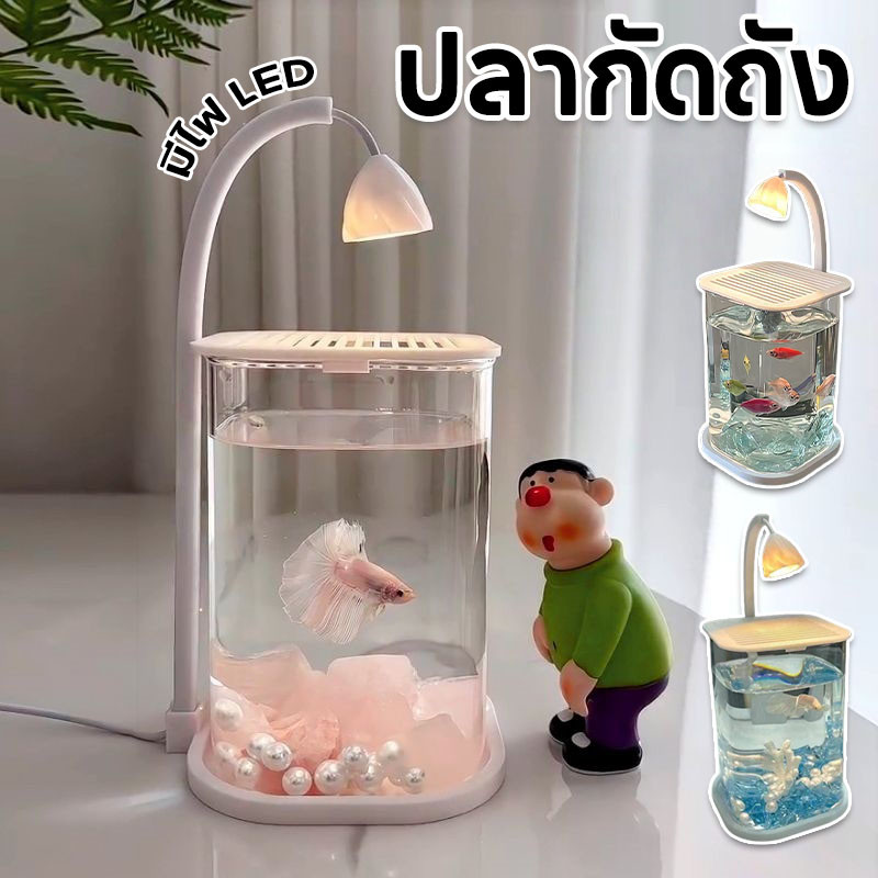 ปลากัดถัง ตู้ปลา ตู้ปลาพลาสติกใส วางไว้บนโต๊ะทํางานของคุณ มีไฟ LED
